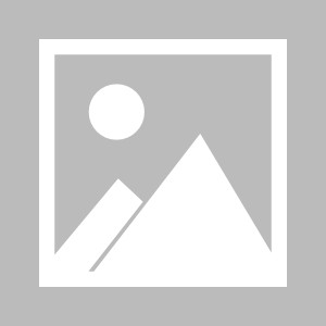 【早报】联赛踢平小蜜蜂，阿森纳雄心已在欧冠！