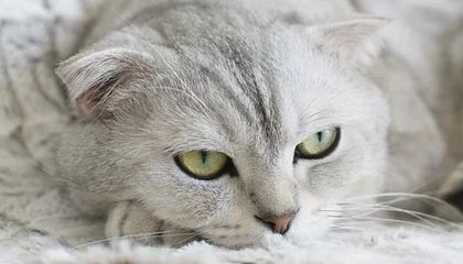 九游网页版：把游戏世界搬进你的指尖